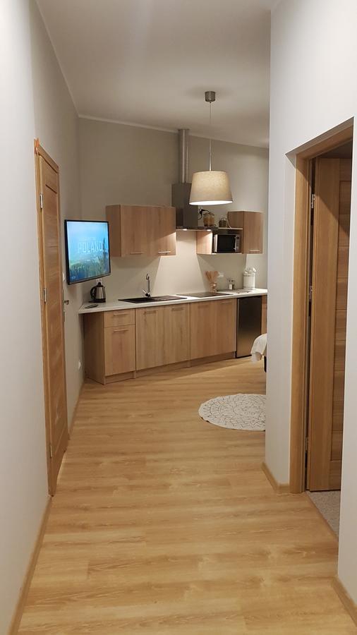 Apartament Strumyk ツァルンクフ エクステリア 写真